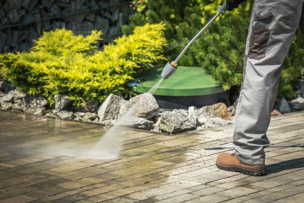 Animal Enclosure Cleaning in Aberdeen, MS